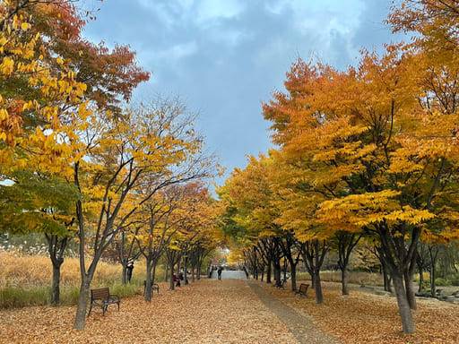 온라인 커뮤니티