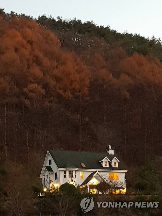 가을철 태초 먹거리 학교의 모습 [본인 제공]