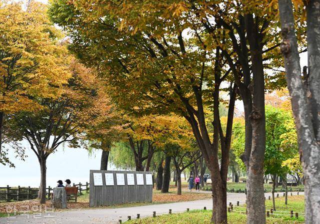 정약용유적지 인근 생태공원이 가을 색으로 곱게 물들고 있다.