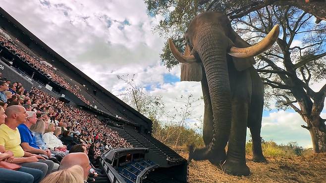 스피어에서 관람한 '지구에서 온 엽서' 영상. 거대한 코끼리가 저벅저벅 다가오는 것처럼 생생하다.
