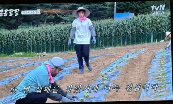 조인성이 시청한 tvN '콩 심은 데 콩 나고 팥 심은 데 팥 난다'./사진=조인성 공식 인스타그램