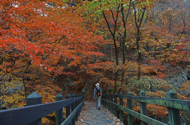 10월29일 서울 강북구 북한산 등산로의 나무에 단풍이 들었다. 연합뉴스