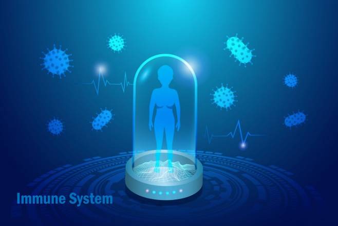 면역억제제는 면역기능을 완전히 떨어뜨린다는 의미로 오해할 수 있어 ‘면역조절제’란 용어가&nbsp;더 적절하다. /게티이미지뱅크 제공.
