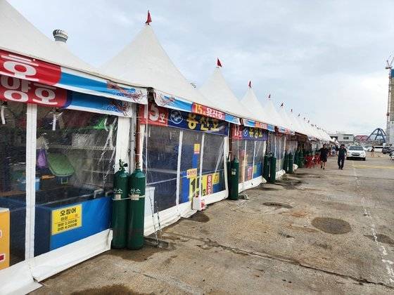 오징어가 잡히지 않는 데다 가격까지 크게 오르자 지난 7월 강원 속초시 동명동 속초항 오징어 난전 대부분이 문을 닫은 모습. 박진호 기자