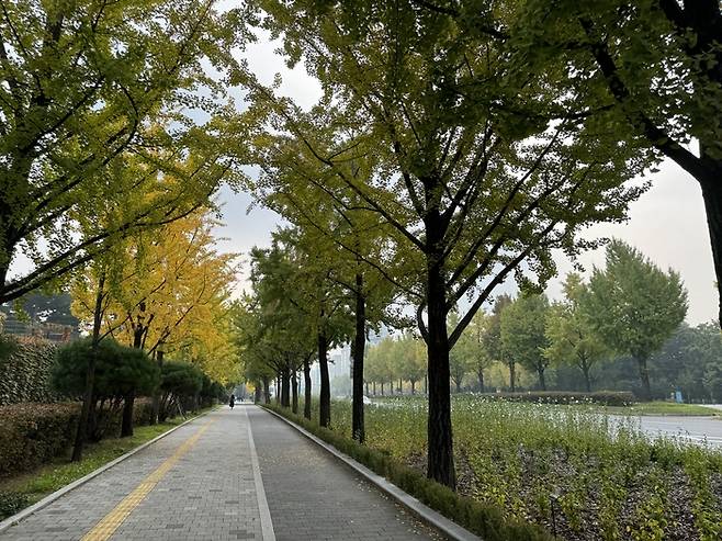 서울 송파구 방이동의 ‘위례성길’. 산림청 제공