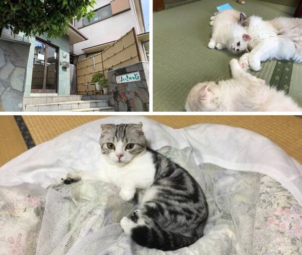 온라인 커뮤니티