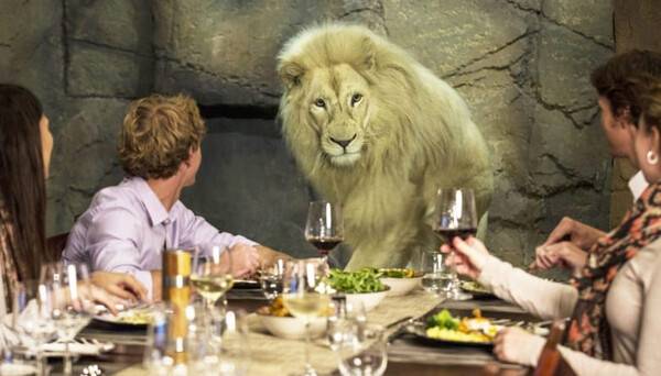 온라인 커뮤니티