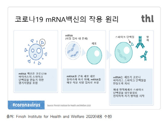 mRNA 백신(코로나)의 원리 <자료:한국과학기술평가원>