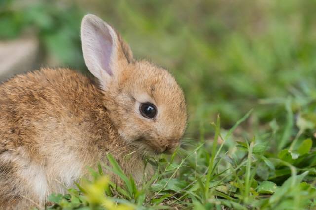 사진=클립아트코리아