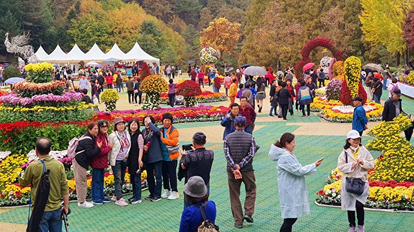 청남대 헬기장 등에 꾸며진 국화조형물을 배경으로 관람객들이 기념촬영을 하고 있다. [사진=충북도]