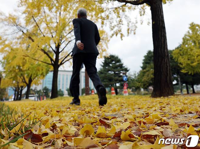 전국이 흐리고 비가 내린 6일 오전 서울 여의도 국회의사당 경내에 은행잎이 떨어져 있다. 기상청은 전국 대부분 지역에 돌풍과 천둥, 번개를 동반 비가 내리고 비가 그치는 오후부터는 찬 바람이 불어 기온이 크게 떨어질 것으로 밝혔다. 2023.11.6/뉴스1 ⓒ News1 박정호 기자