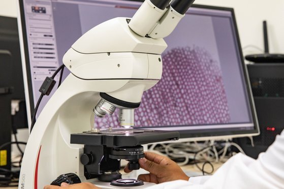 부재로 쓰인 목재의 종류를 알아내기 위해 육안 관찰과 현미경 분석 등을 통해 수종을 분석한다.
