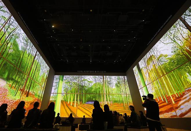 서울 강동구 고덕동 '라이트룸 서울'에서 열린 데이비드 호크니 몰입형 전시 'David Hockney : Bigger & Closer'를 감상하는 관람객들. 연합뉴스