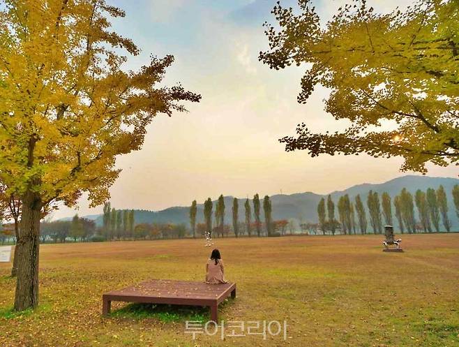 평상에 앉아 가을빛으로 물든 강천섬의 일몰풍경을 즐기고 있다.&nbsp;