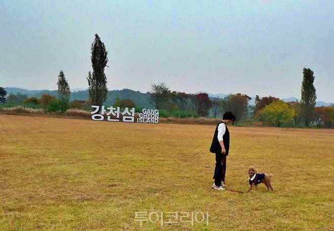 강천섬의 넓은 잔디광장에서 반려견과 산책을 즐기는 나들이객