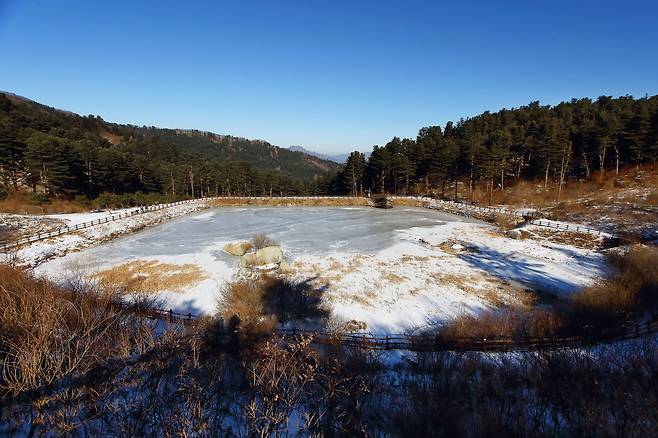 추위에 꽁꽁 얼어버린 경기도잣향기푸른숲의 사방댐. 멀리 보이는 잣나무 숲은 여전히 푸르다. /양수열 영상미디어 기자