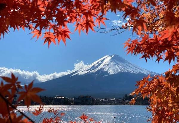 온라인 커뮤니티