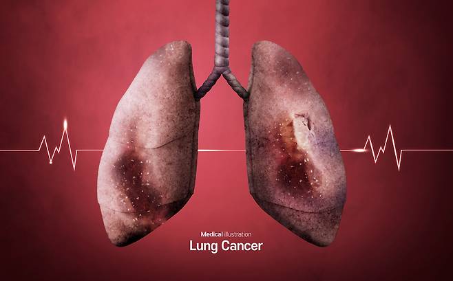 클립아트코리아 제공