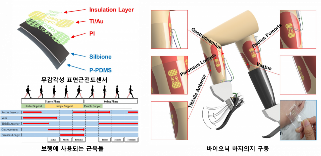 무감각성 표면 근전도 센서의 모식도. 사진 제공=DGIST