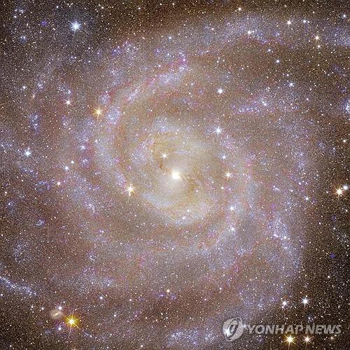 유클리드가 촬영한 나선형 은하 IC 342 모습.  (AFP=연합뉴스) 유럽우주국은 7일(현지시간) 우주 망원경 유클리드가 촬영한 첫 번째 이미지 5장을 공개했다. 2023.11.07. photo@yna.co.kr