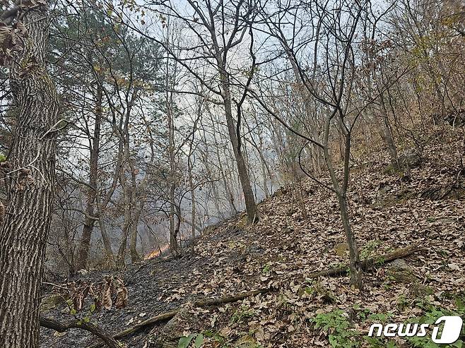 강원 홍천군 북방면 굴지리 산불 현장.(강원도산불방지대책본부 제공)