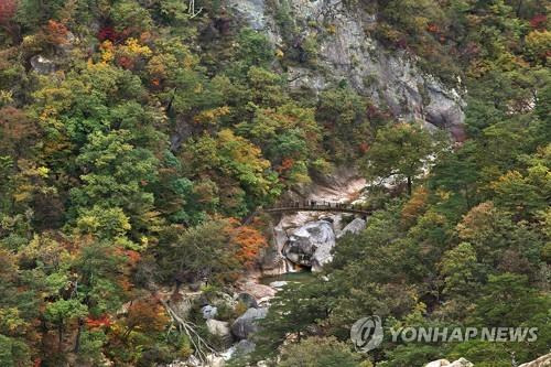 설악산 주전골. [연합뉴스 자료사진]