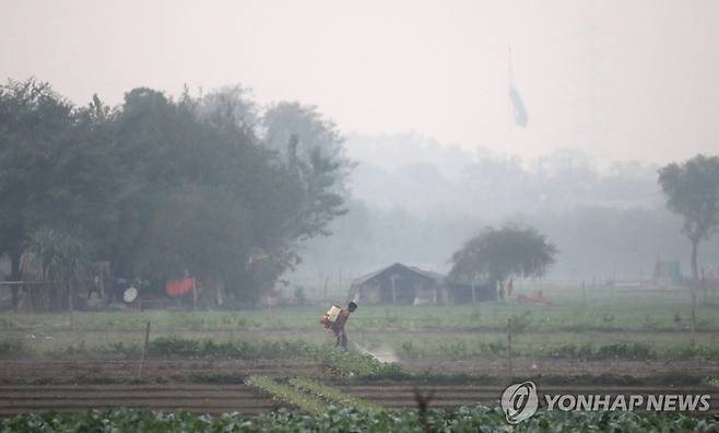 8일 짙은 스모그가 낀 델리 야무나강 주변 밭에서 일하는 농부  [EPA 연합뉴스 자료사진. 재판매 및 DB 금지]