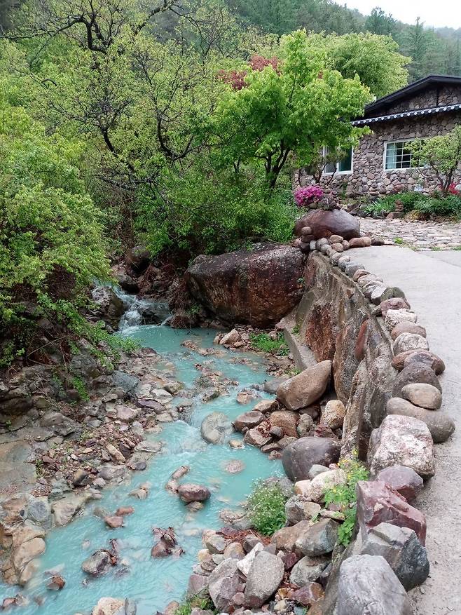 지난 10일 경북 봉화군 재산면 현동2리 마을 내 개울물이 물감을 푼듯 파란 빛으로 물들었다. 지난 7일 마을 인근 태양광 발전 시설 공사 중 녹화 작업을 위해 뿌린 스프레이 색소가 소나기에 씻겨 내려오면서 개울물로 흘러든 것이다. 이곳 개울물은 환경부가 1급수로 지정해 주민들이 식수로도 이용하고 있다./독자 제공