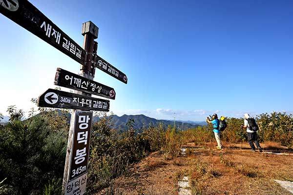 망덕산 정상에서는 어깨산 능선이 보인다. 여기서 본 어깨산은 키는 작지만&nbsp;덩치 큰 운동선수처럼 보였다.