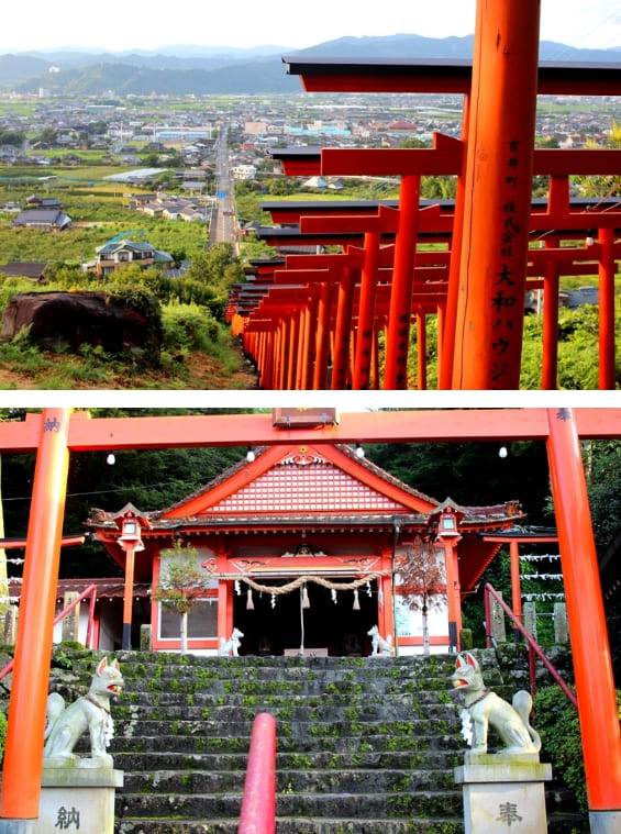 온라인 커뮤니티