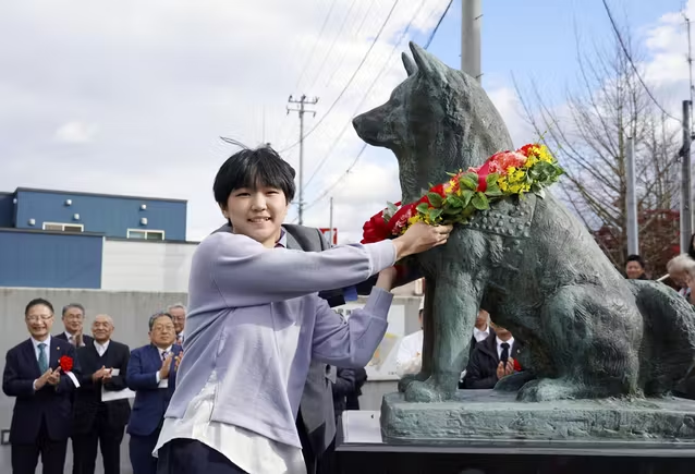 하치 탄생 100주년을 기념해 하치 출생지인 아키타현 오다테시에 세워진 동상에 한 학생이 꽃다발을 걸어주고 있다. [닛케이]