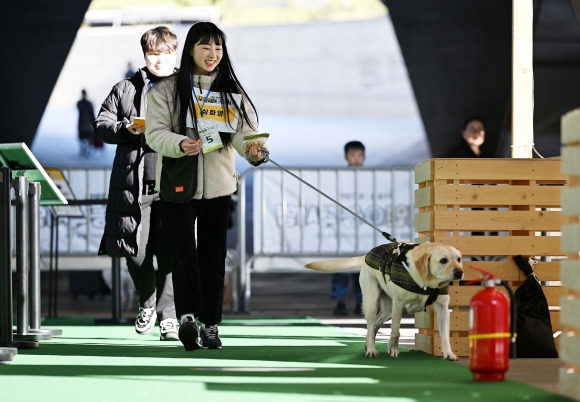 12일 서울 중구 동대문디자인플라자(DDP)에서 열린 ‘2023 반려인 능력시험’에 응시한 반려인과 반려견이 실기시험을 치르고 있다. 2023.11.12 오장환 기자