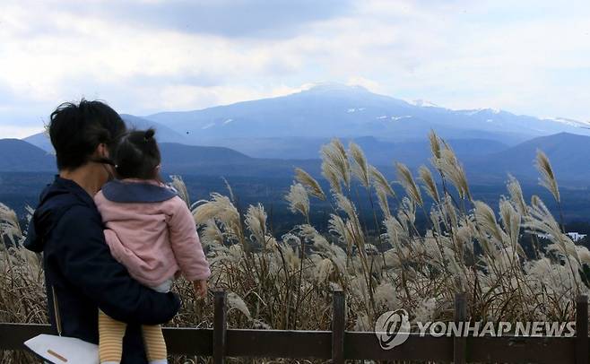 은빛 억새와 한라산 [연합뉴스 자료사진]