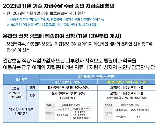 자립준비청년 의료비 지원 사업 주요내용