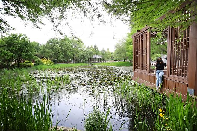 전주 여행을 마무리하며 쉼표를 찍은 '전주수목원' 연못가에서 황윤 작가는 말했다. "마치 모네의 그림 '수련' 같아요." 한국도로공사 전주수목원은 '전주의 지베르니'라는 별칭이 있다. / 주민욱 영상미디어 기자