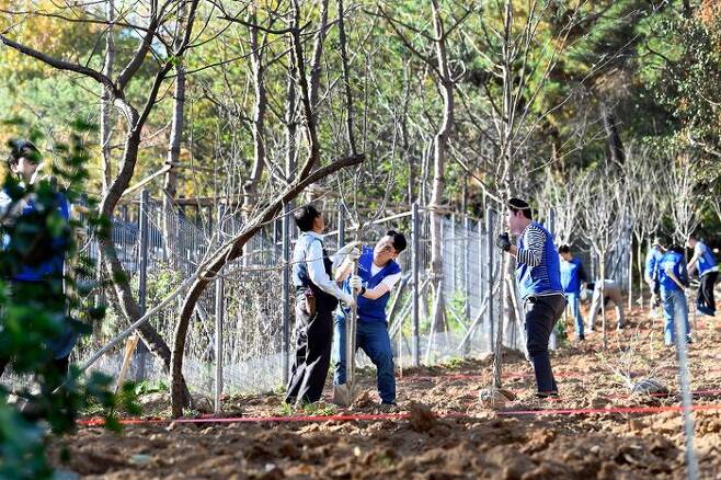 삼성생명 임직원들이 지난 2일 서울 은평구 둘레길에서 조경수를 심는 식목 봉사를 하고 있다.ⓒ삼성
