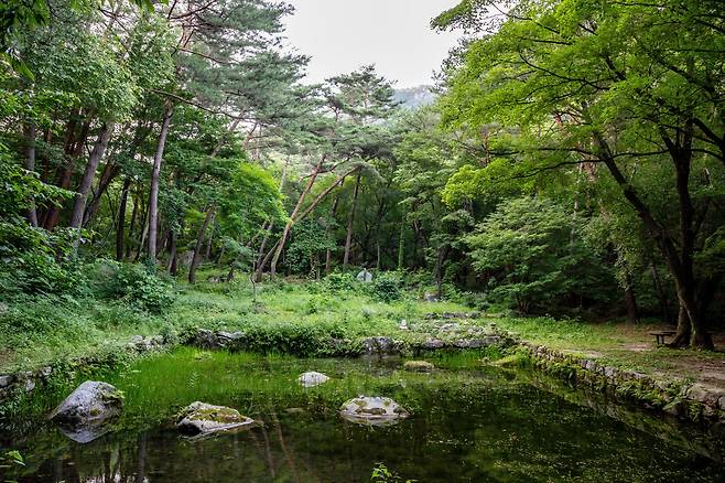 맑은 날이면 부용봉까지 비추는 청평사의 '영지'. '청평거사' 이자현이 조성한 것으로 알려져있다. / 장은주 영상미디어 객원기자