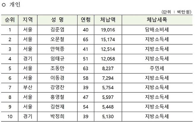 개인 지방세 체납자 상위 10위. 행정안전부 제공