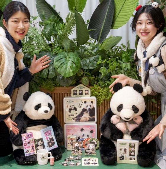 A pop-up store for Everland's most popular panda, Fu Bao, will open on Nov. 9 at The Hyundai Seoul department store in Yeongdeungpo District, western Seoul. [EVERLAND]