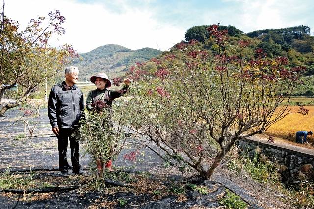 산초에 바친 30년! | 정책주간지 공감