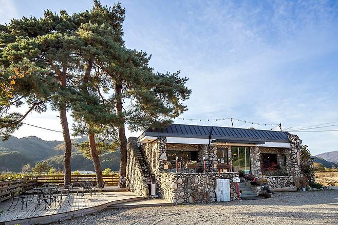 커다란 소나무 세 그루 아래 새둥지처럼 자리 잡은 카페 겸 레스토랑 '달콤한 게으름'. 오너 셰프 김문희씨가 폐가에 가깝던 토종닭집을 2년 간 셀프 인테리어해 완성한 공간이다. /한준호 영상미디어 기자