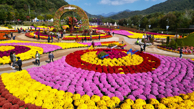 ▲ 인제 가을꽃축제장[강원도민일보 자료사진]