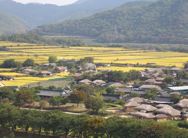 온라인 커뮤니티