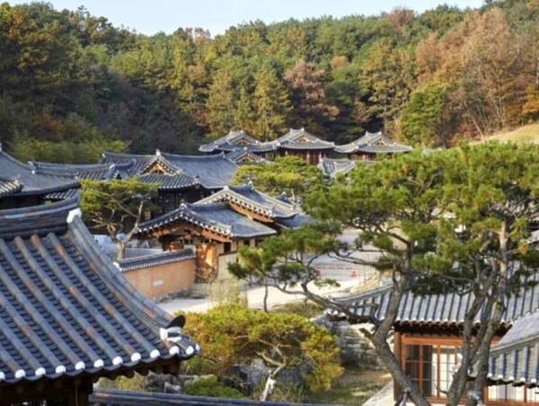 온라인 커뮤니티