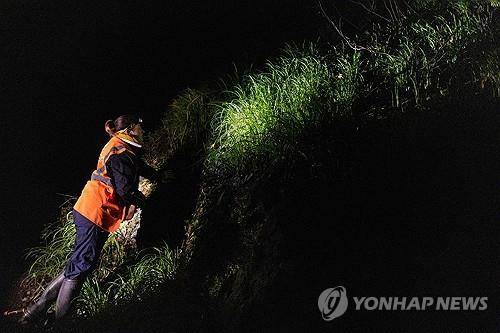 브레스트 트램 공사 부지에서 희귀종 달팽이를 찾는 환경 전문가 [AFP 연합뉴스 자료사진]