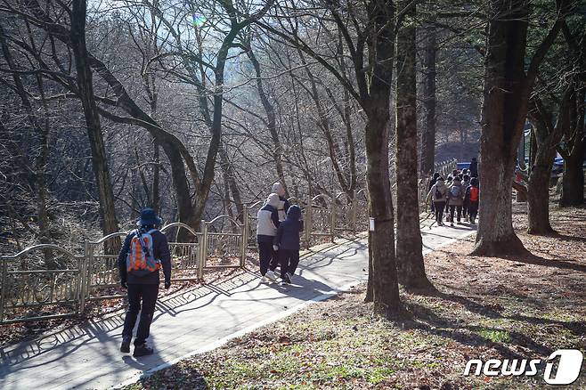 18일 치악산국립공원 구룡사 일원에서 열린 2023년 치악산 황장목 숲길 걷기 축제장에서 관광객들이 숲길을 따라 걷고 있다.(원주시 제공)