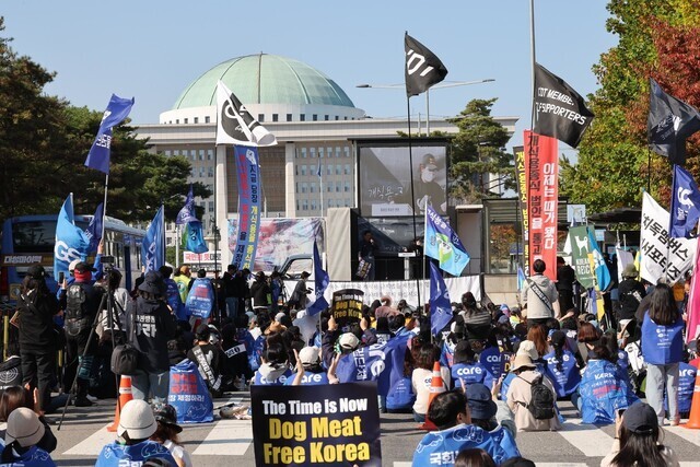 동물권 대국민 연대 회원들이 10월29일 오후 서울 여의도 국회 앞에서 ‘개 식용 금지법’ 제정을 촉구하는 집회를 열고 있다. 이번 회기에도 개 식용 종식 관련 특별법 제정안이 발의되었지만, 상임위원회 문턱을 넘지 못하고 계류 중이다. 김봉규 선임기자 bong9@hani.co.kr