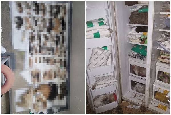 천안시 봉명동 한 가정집에서 발견된 500구의 고양이 사체다. 냉장고에서도 고양이 시체가 무더기로 발견돼 청테이프로 둘러쌓여 있는 모습이다.  '동물과의 아름다운 단체' 제공.