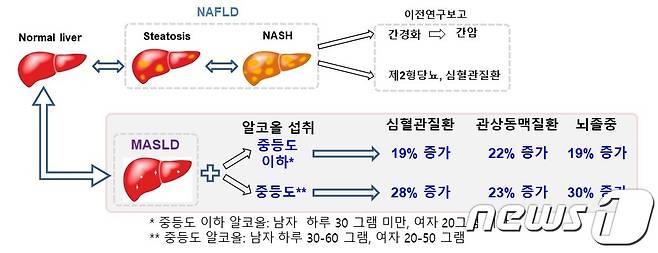 지방간이 없는 사람 보다 대사이상지방간질환 환자군에서 심혈관질환 위험이 약 19% 증가했다. 특히 1일 평균 남성은 30~60g, 여성은 20~40g의 중증도 알코올을 섭취한 대사이상지방간질환 환자군은 일반인보다 심혈관질환 위험이 28% 증가했다./ⓒ 뉴스1 (질병관리청 제공)