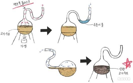파스퇴르의 백조목 플라스크 실험. 네이버